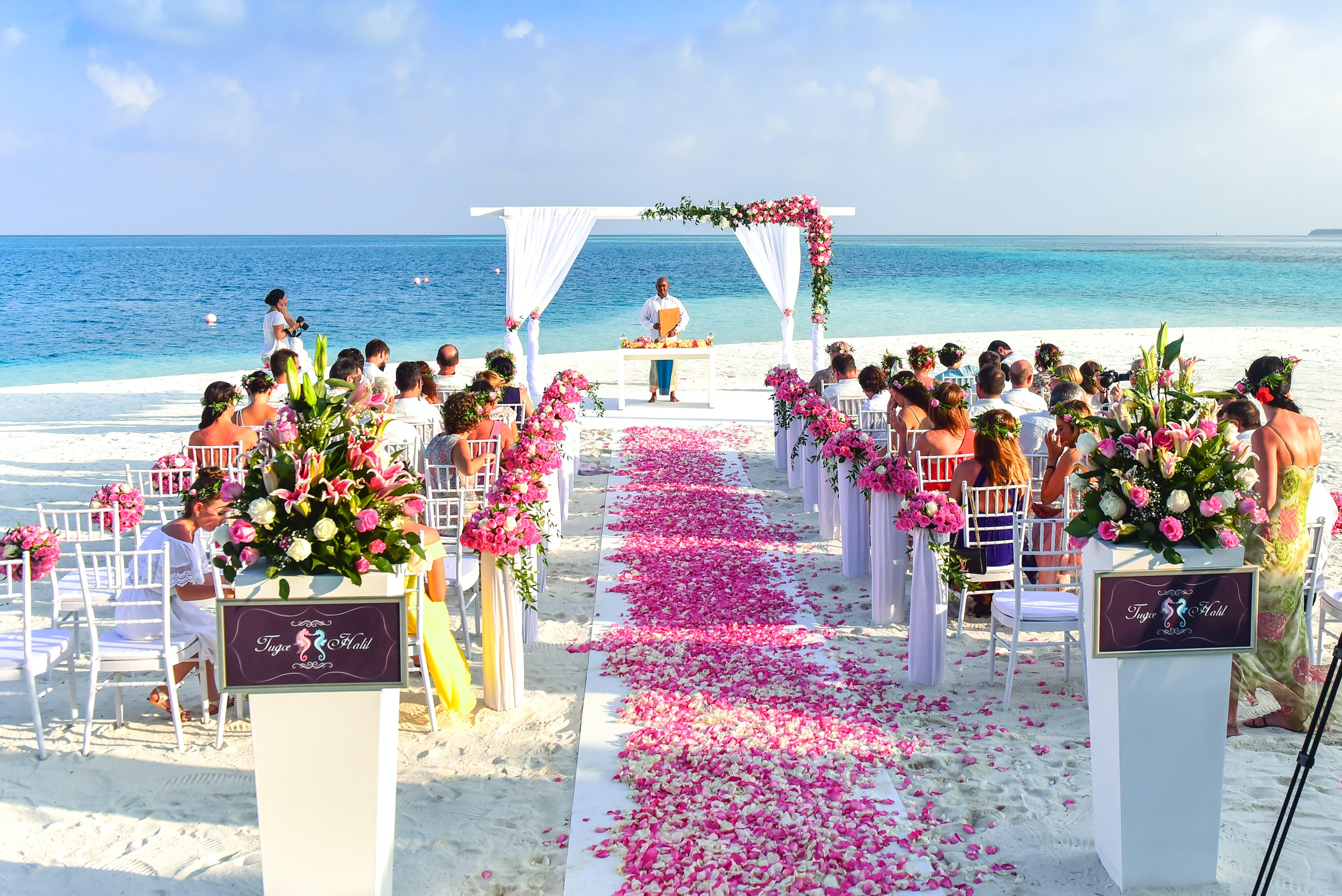 ślub na plaży zgromadzeni goście 