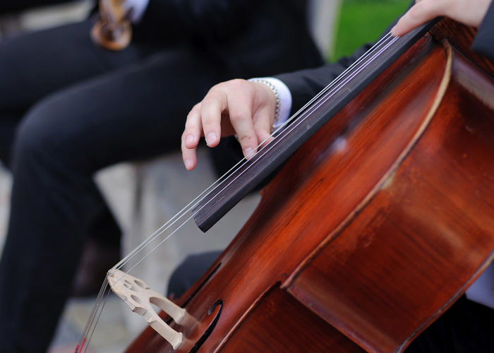 Dlaczego warto mieć orkiestrę na weselu?