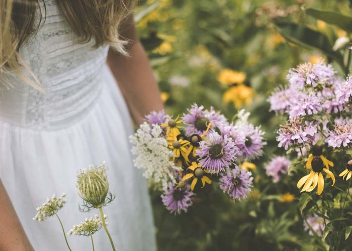 Wesele latem - czy warto?